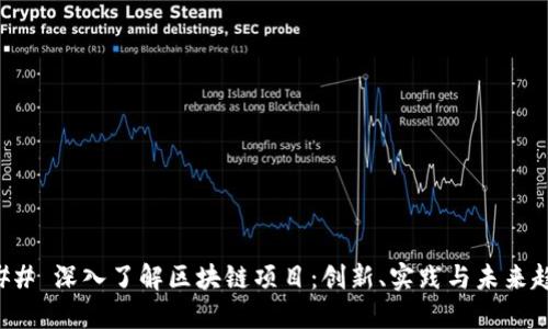 ### 深入了解区块链项目：创新、实践与未来趋势
