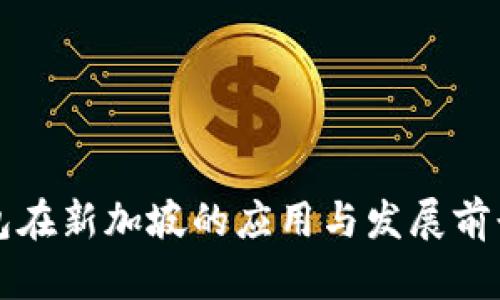 TP钱包在新加坡的应用与发展前景分析