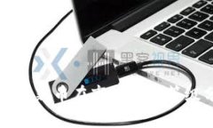 TP钱包新币在市场中的等级分析